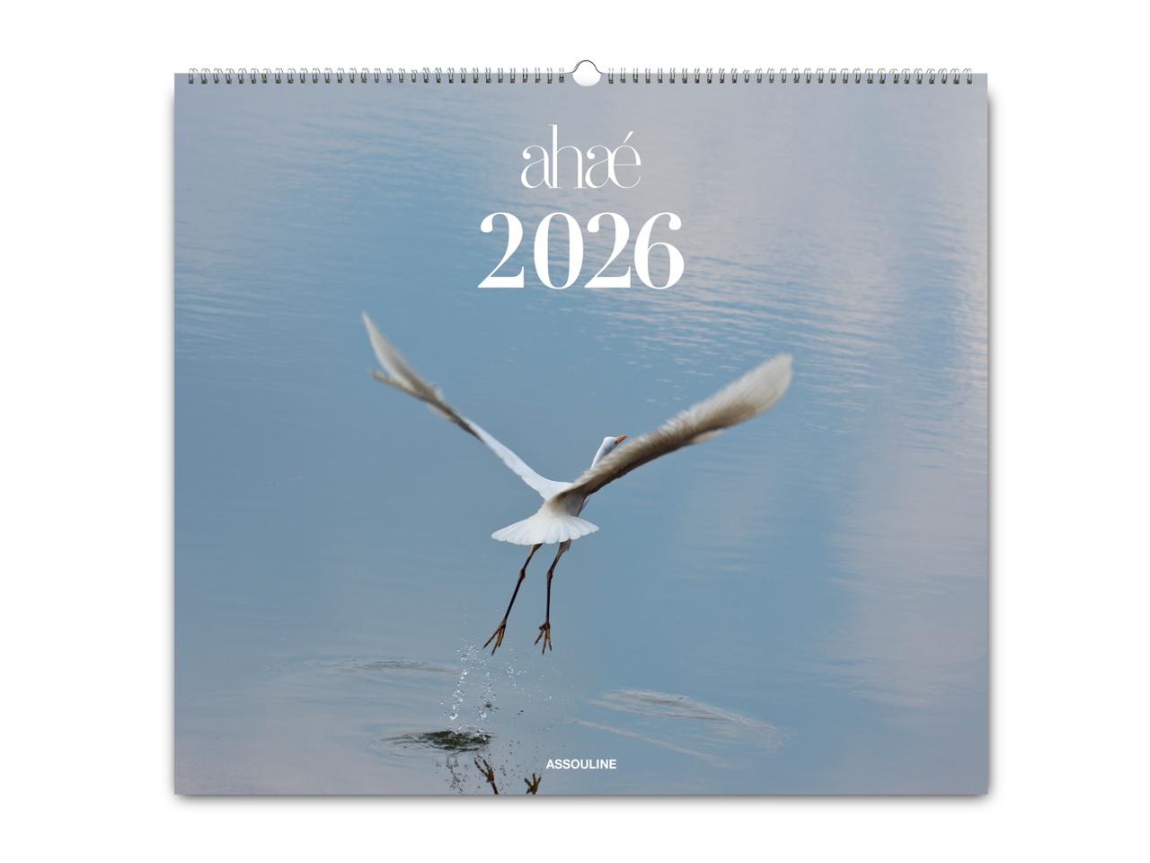 2026 Wall Calendar – Ahae