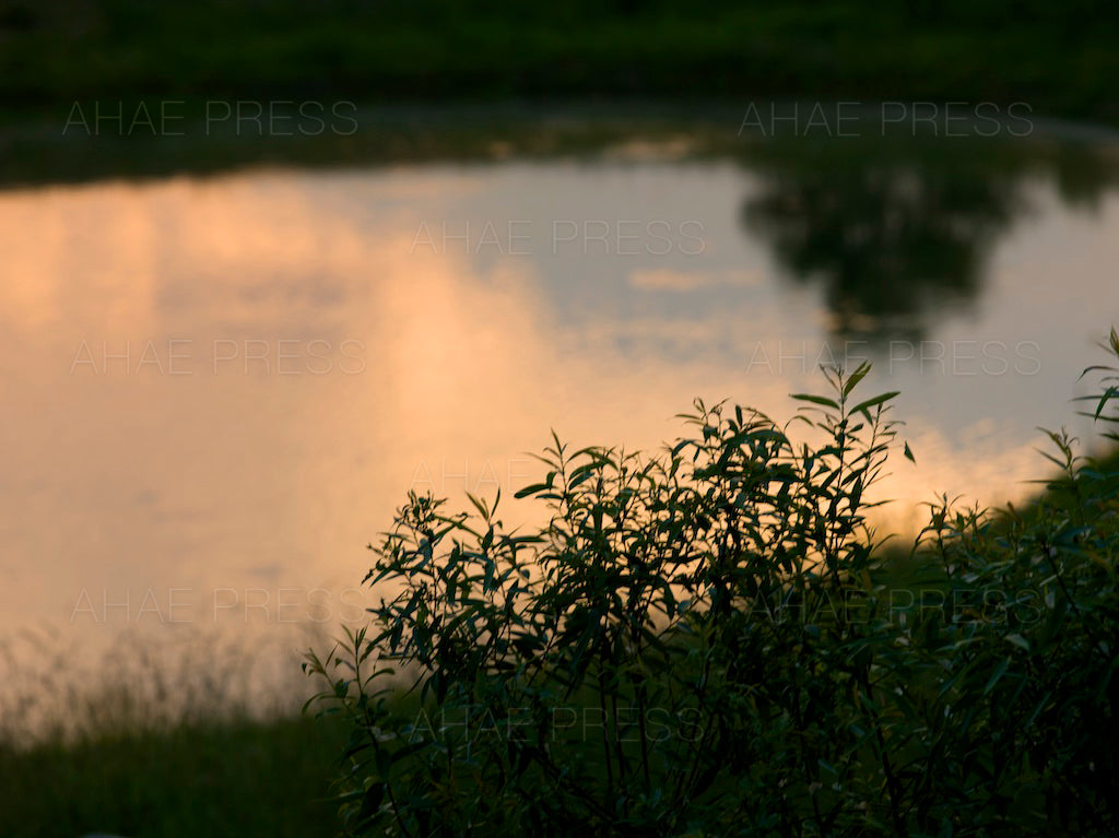 Reflection