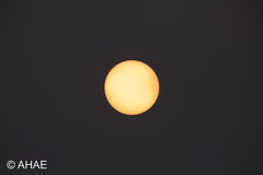 Sun (2012)