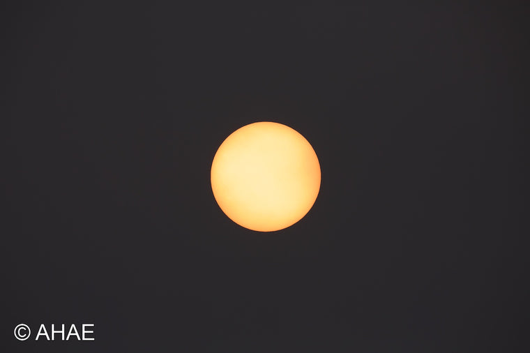 Sun (2012)