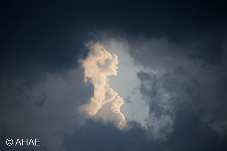 Light and Clouds (2012)
