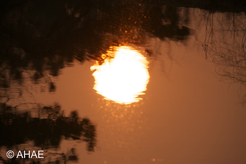 Reflection (2012)