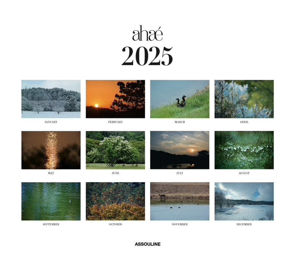 2025 Wall Calendar