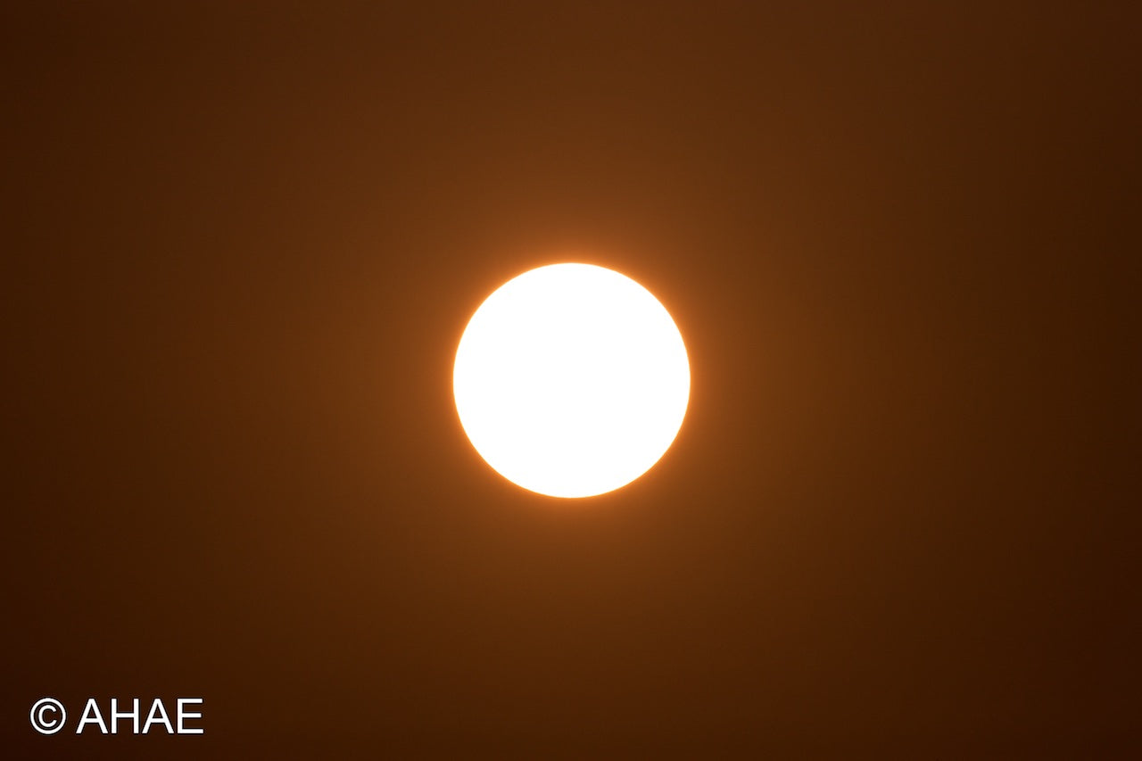 Sun (2011)
