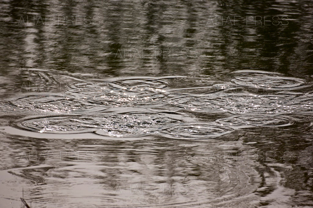 Waves on Pond