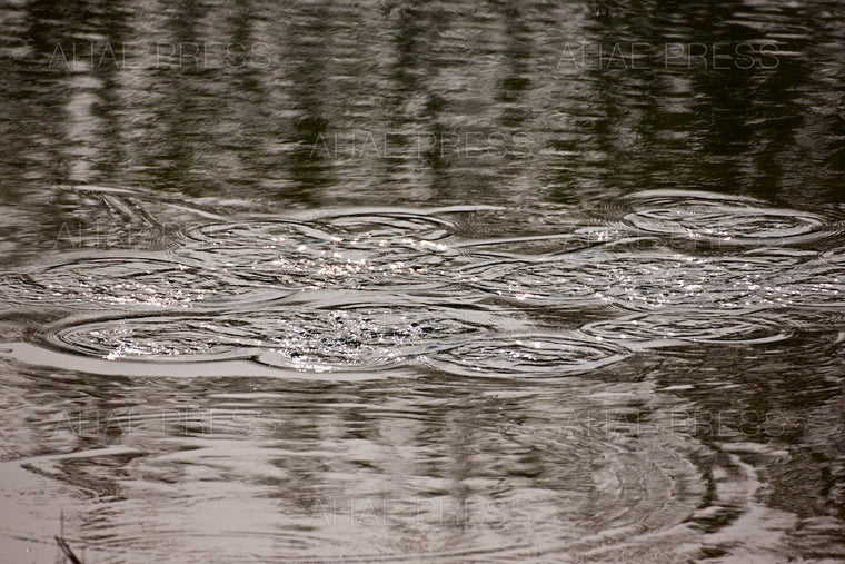 Waves on Pond