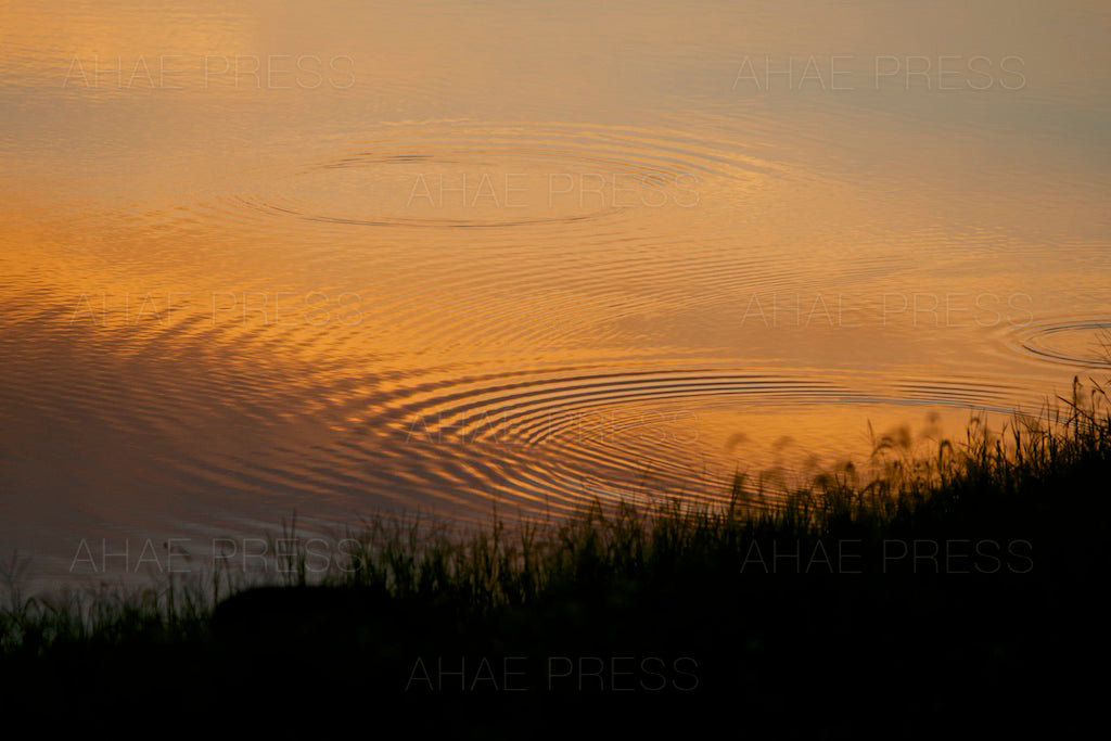 Waves on Pond
