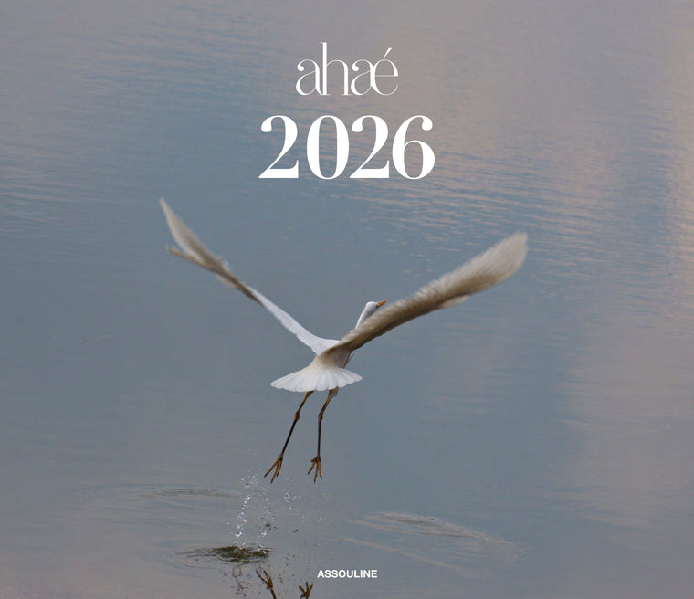 2026 Wall Calendar – Pre-Sale