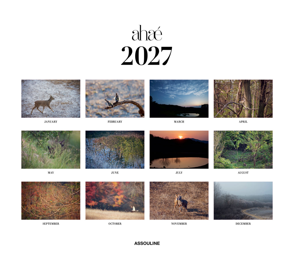 2027 Ahae Wall Calendar