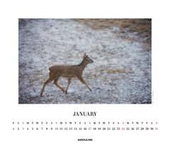 2027 Ahae Wall Calendar