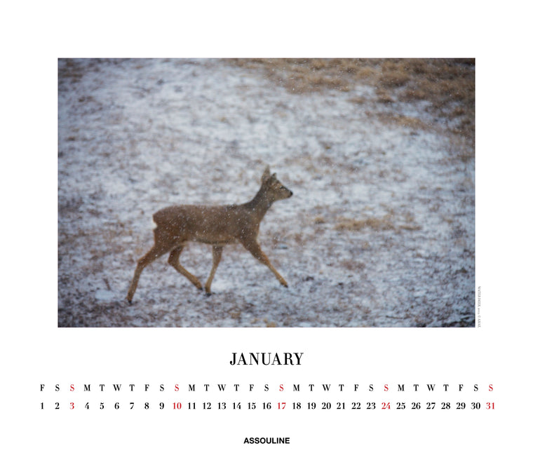 2027 Ahae Wall Calendar