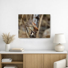Vinous-throated Parrotbill, on Art Canvas (16 x 24" – 457 x 610mm)