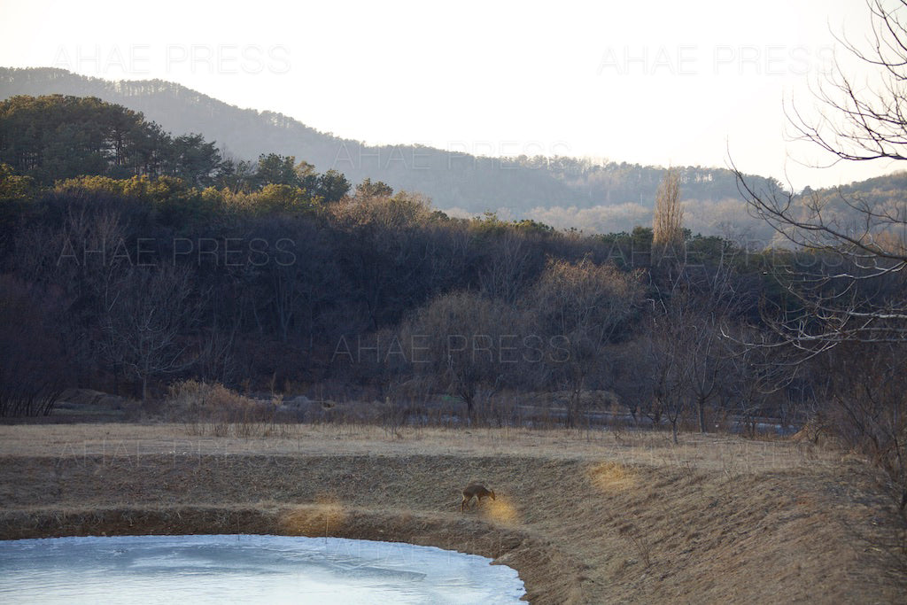 Western Hills in Winter