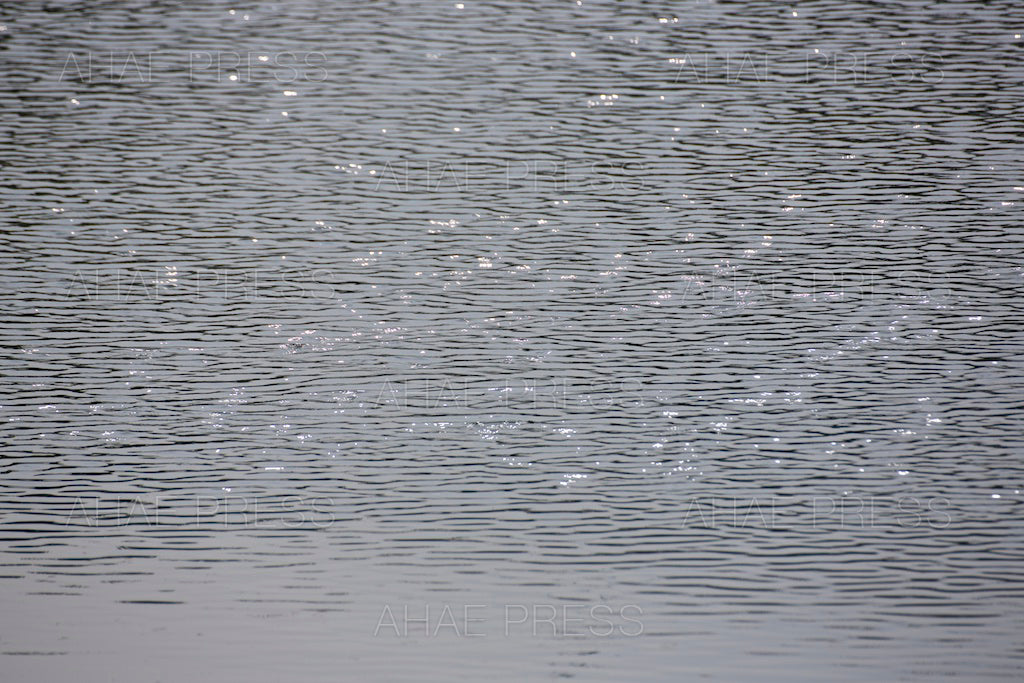 Waves on Pond