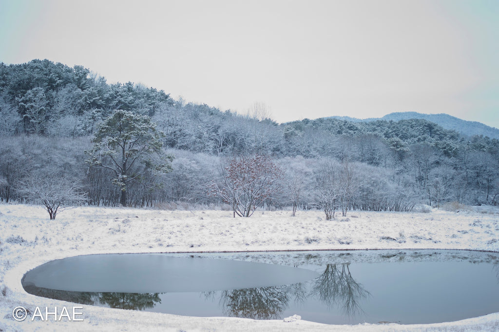 Through My Window (2014)