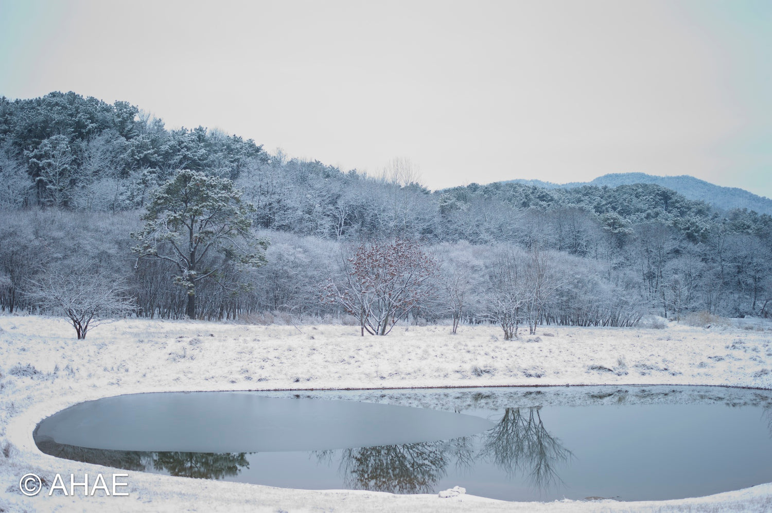 Through My Window (2014)
