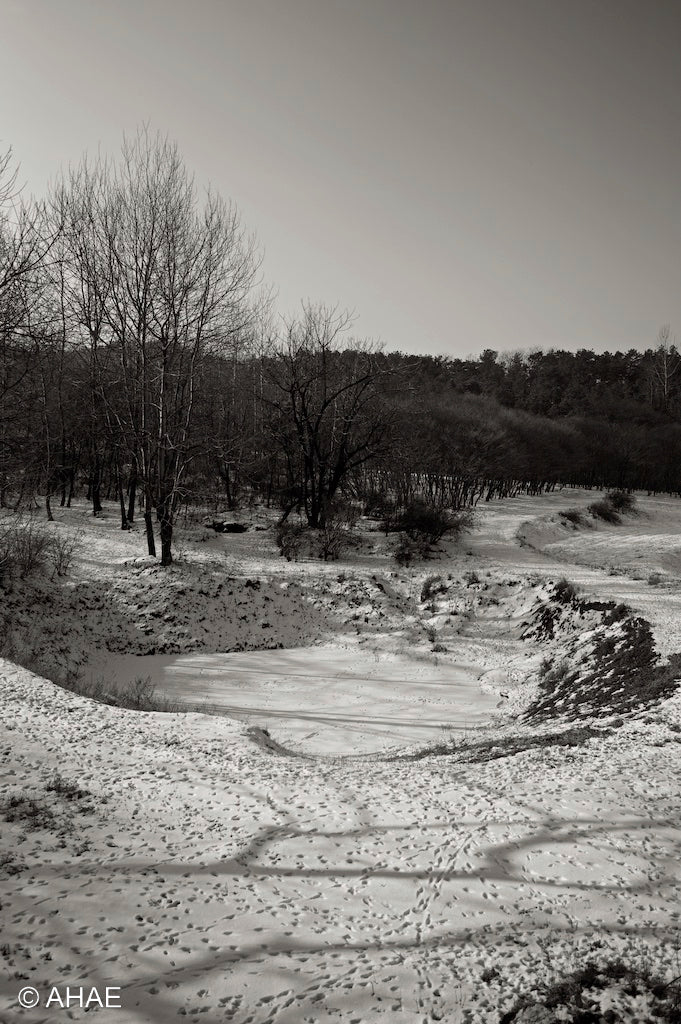 Woods in Winter, on Art Canvas (16 x 24" – 457 x 610mm)