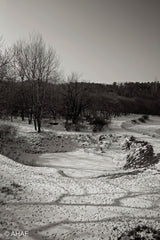 Woods in Winter, on Art Canvas (16 x 24" – 457 x 610mm)