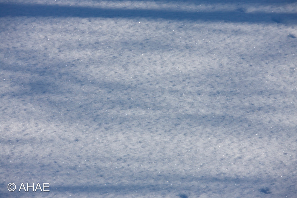 Snow (2012)