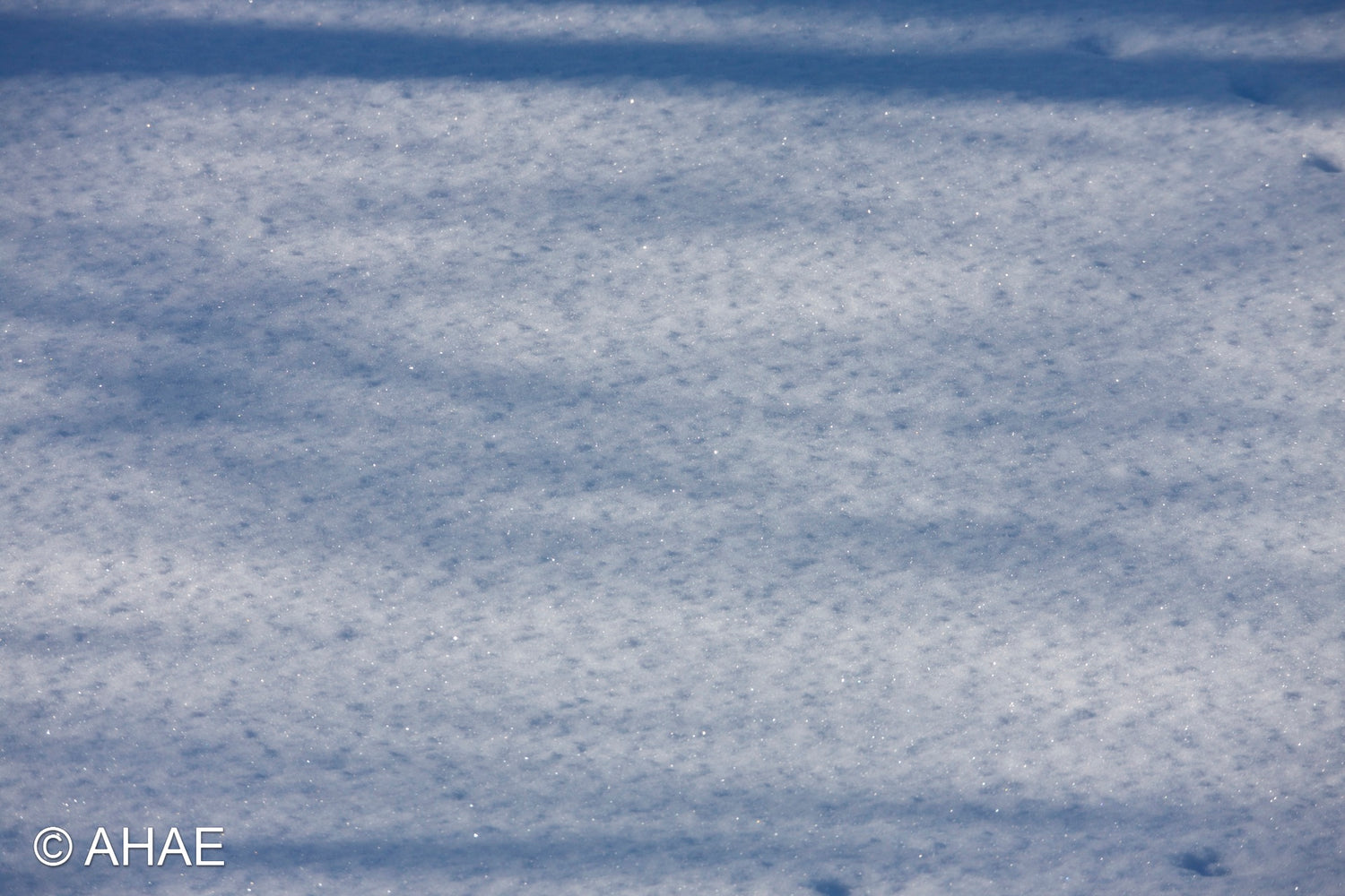 Snow (2012)