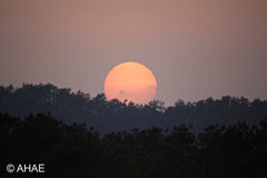 Sunset, on Art Canvas (16 x 24" – 457 x 610mm)