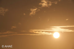 Sunset (2013)