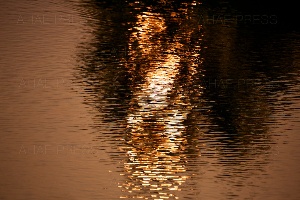 Reflection