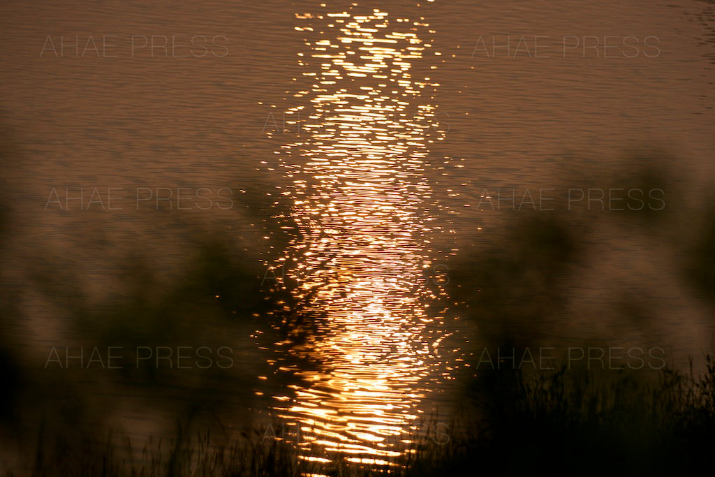 Reflection