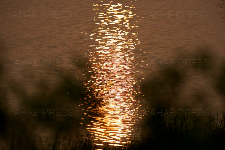 Reflection