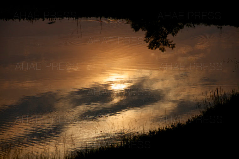 Reflection