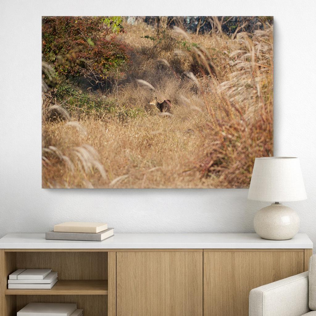 Water Deer, on Art Canvas (36 x 54" – 914 x 1372mm)