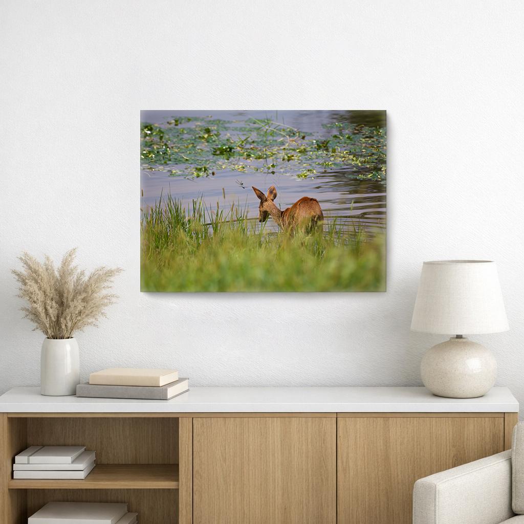 Water Deer and Dragonflies, on Art Canvas (16 x 24" – 457 x 610mm)