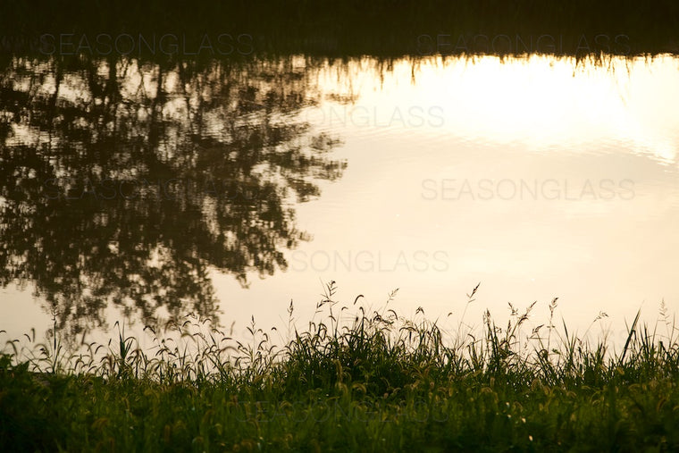 Reflection