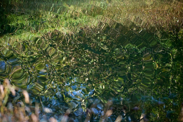 Reflection – Ahae