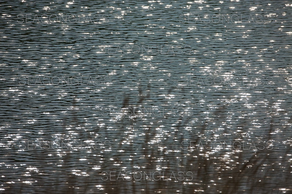 Waves on Pond