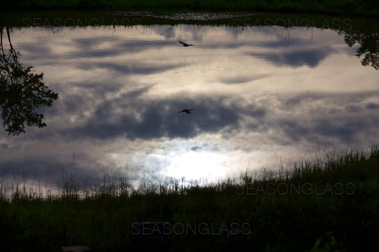 Reflection