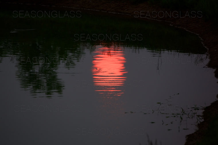 Reflection