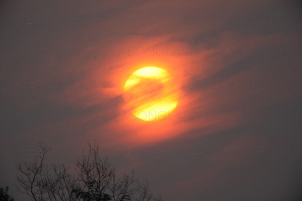 Sun – Ahae