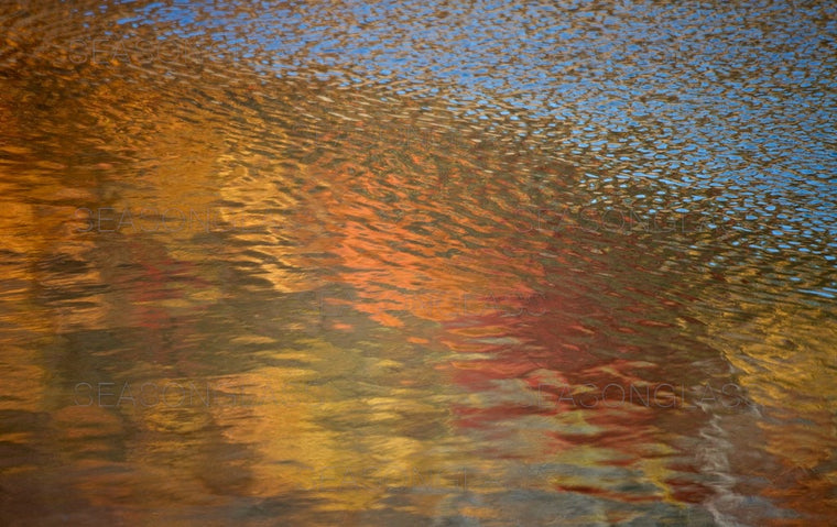 Waves on Pond