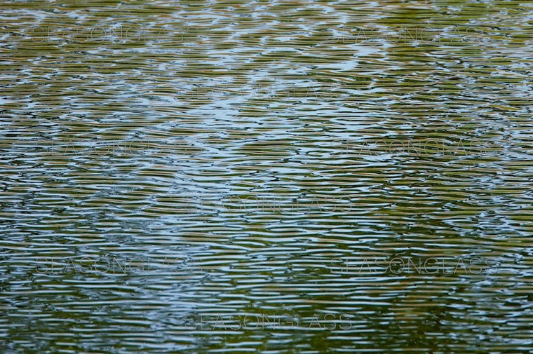 Waves on Pond