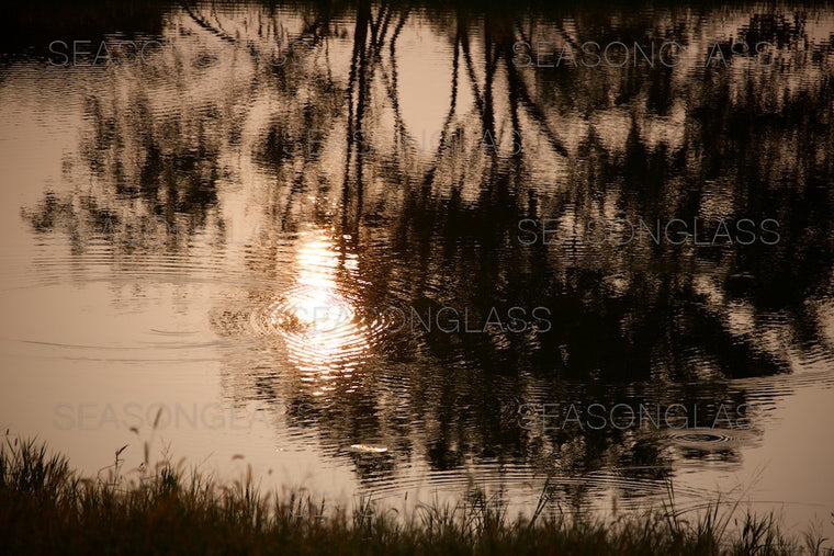 Reflection