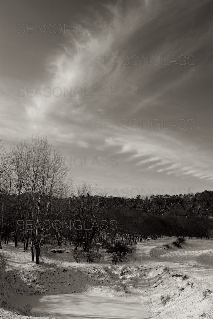 Land and Sky