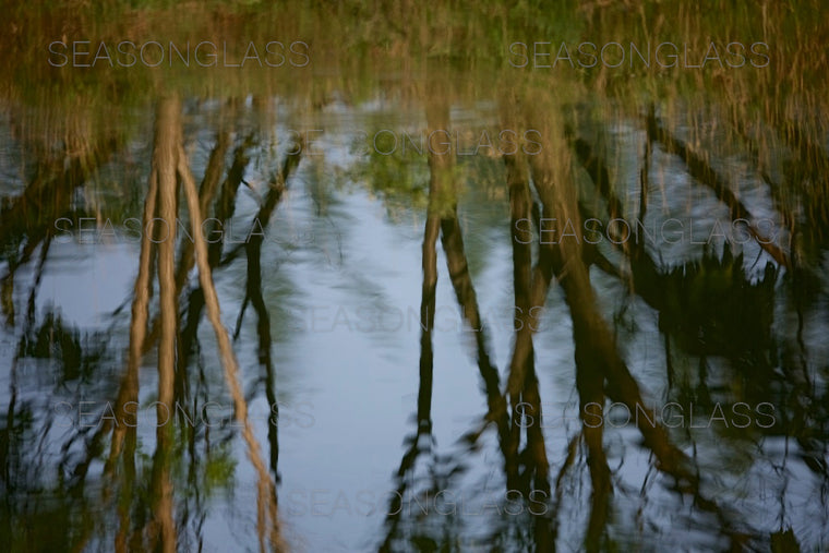 Reflection