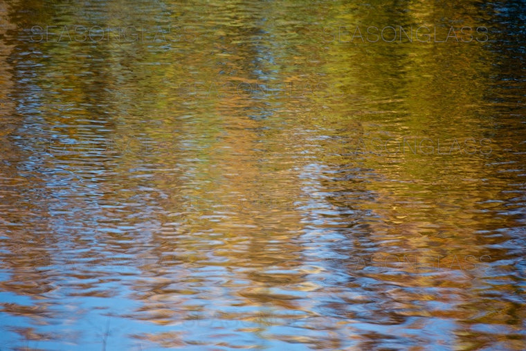Waves on Pond