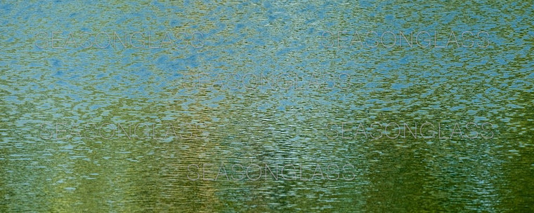 Waves on Pond