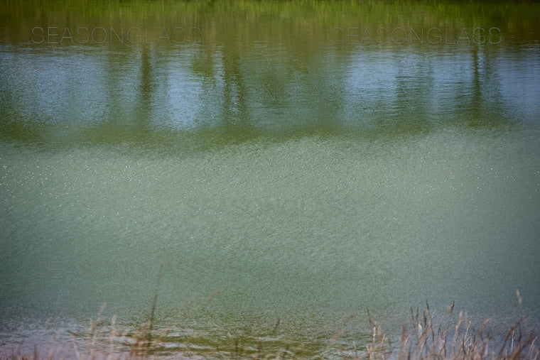 Reflection