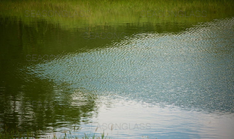 Waves on Pond