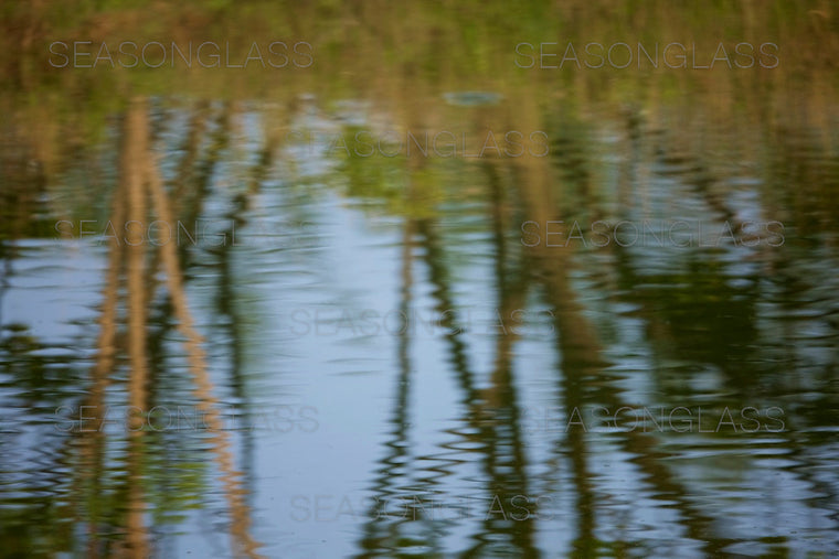 Reflection