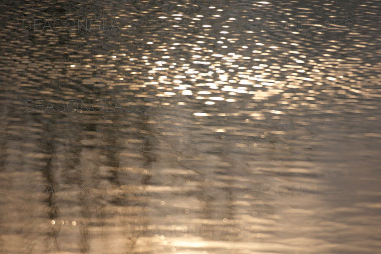 Waves on Pond