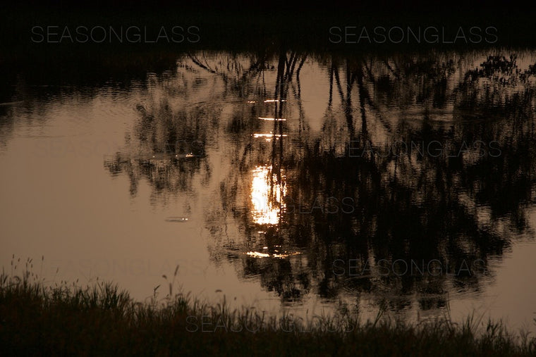 Reflection